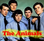 Animals Audio